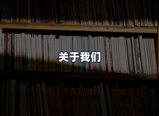 关于我们